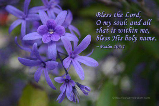 bless-the-lord-purple – Breath of Life